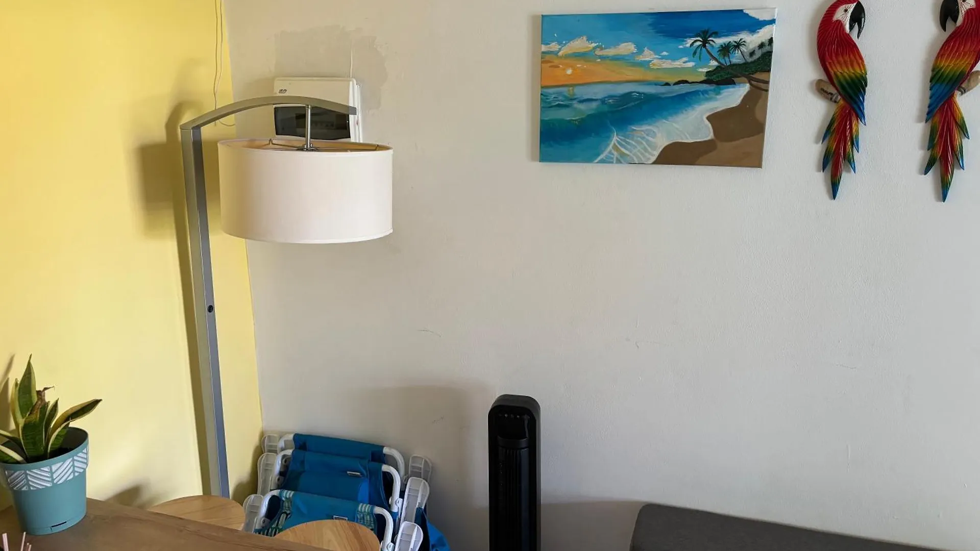 Cozy Apartment In Savaneta Aruba